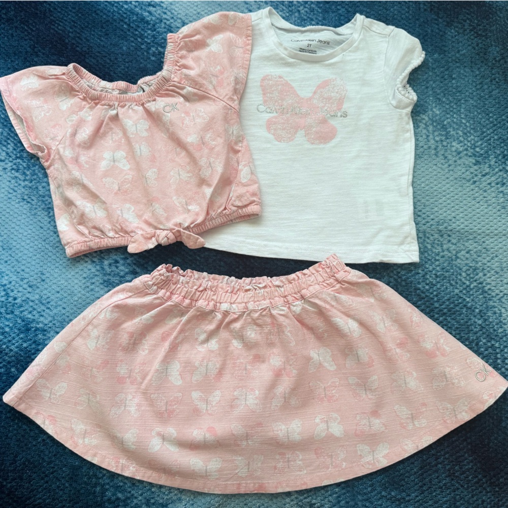 2T - Calvin Klein 3 piece pink butterfly skirt & peek a boo shirt